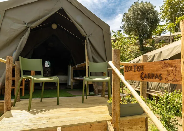 Safari Glamping Portugal Flamingo